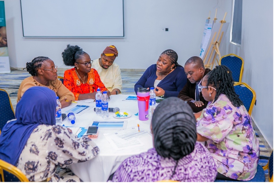 Technical working session with state stakeholders to review and validate the sustainability framework.