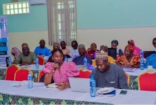 Hajara Nakkudu presenting the case for institutionalizing GYSI metrics at the validation workshop
